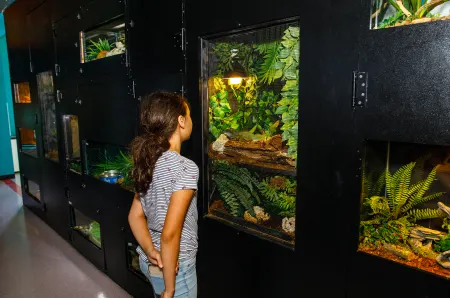Girl in museum